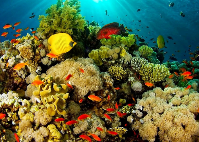 Daftar Destinasi Pantai dan Pulau Paling Menawan, Solusi Piknik dan Healing Anti Pening