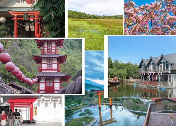  7 Wisata Ala Jepang di Indonesia Dengan Harga Terjangkau, Wajib Kamu Kunjungi!