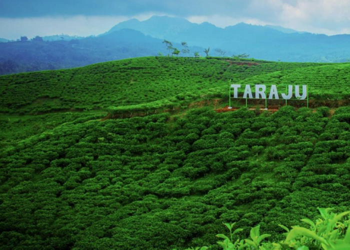 Rekomendasi Destinasi Mutiara Priangan Timur Tasikmalaya Paling Wajib Dikunjungi, Simak Referensi Lengkapnya