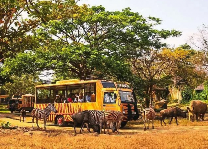 Rekomendasi Tempat Wisata Bali Ramah Anak yang Seru dan Edukatif