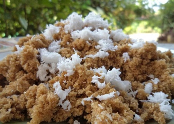 Berbagai Olahan Singkong Khas Jogja yang Wajib Dicicipi, Cek Lengkapnya Disini