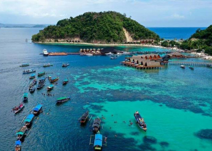 Pulau Tegal Mas : Wisata Terbaru 2024 Lampung, Melihat Bayi Hiu Jarak Dekat