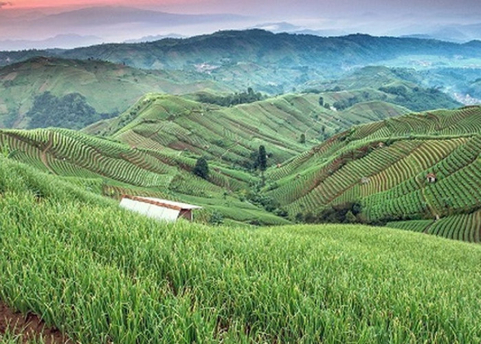 Menikmati Keseruan Aktivitas Outdoor Tempat Wisata Keluarga Terbaik di Cimahi 2026 