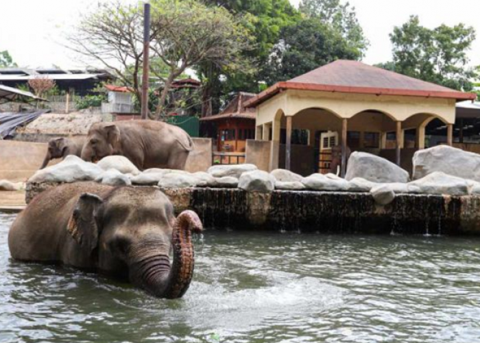 Wisata Ramah Anak di Jogja Ini Jadi Destinasi Edukasi dan Rekreasi Terbaik untuk Liburan 