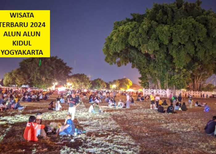 Wow! Wisata Terbaru 2024 Alkid Yogyakarta, Pesona Indah Tantangan Melintasi Pohon Beringin?