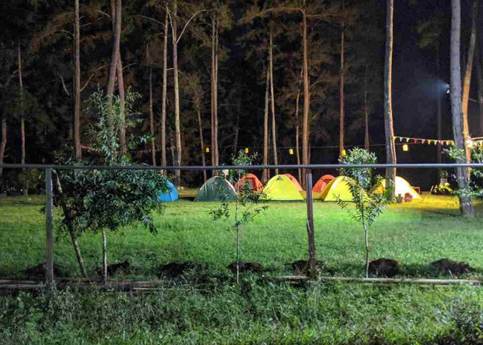 6 Daftar Wisata Seru dan Menarik di Cilacap, Sajikan Panorama yang Sangat Memanjakan Mata