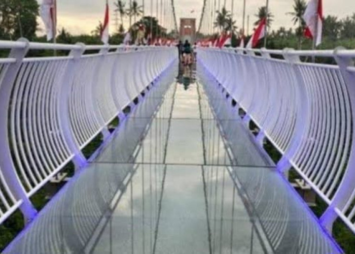 Nikmati Sensasi Terbang Di Atas Awan Kaca Bali, Destinasi Wisata Terbaru 2024 Glass Bridge