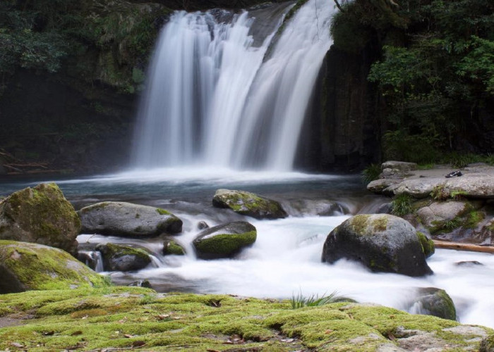 5 Daftar Wisata Madiun Paling Menarik Tahun 2025, Tawarkan Pemandangan Memukau Ala Perbukitan Hollywood