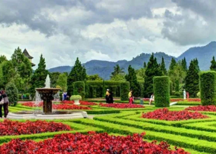 Menjelajahi Keindahan Kebun Begonia Lembang, Destinasi Wisata Bunga Estetik di Bandung