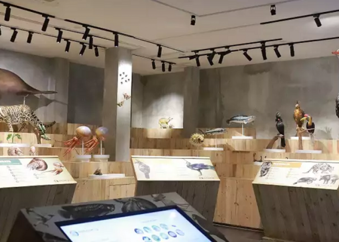 Liburan Seru? Ini Daftar Destinasi Wisata Pilihan di Kawasan Cibinong Bogor