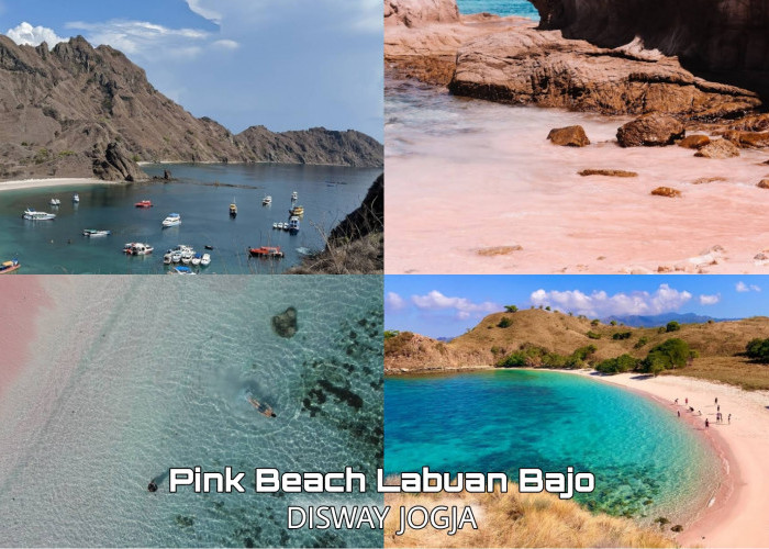 Mengeksplor Wisata Terbaru 2024 Pink Beach di Labuan Bajo, Simak Ulasannya untuk Persiapan Libur Lebaran 