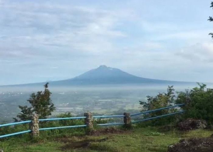 Puncak Bucu Bantul, Spot Sunset Jogja Terbaik Wisata Terbaru 2024