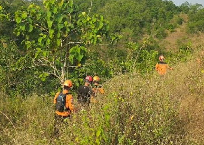 Pencarian Mbah Bajiyo Dilanjutkan, Tim SAR Perluas Penyisiran di Kawasan Hutan Selorejo