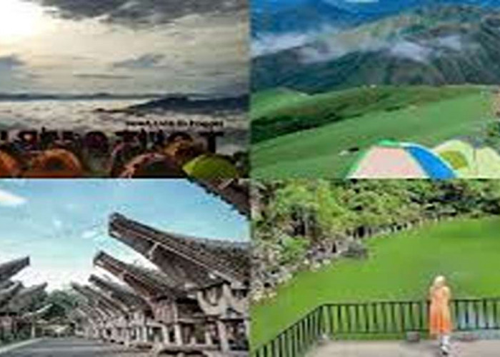 Tenang dan Memukau! Deretan Pilihan Wisata Toraja 2025, Keindahan Memikat Dijamin Bikin Betah