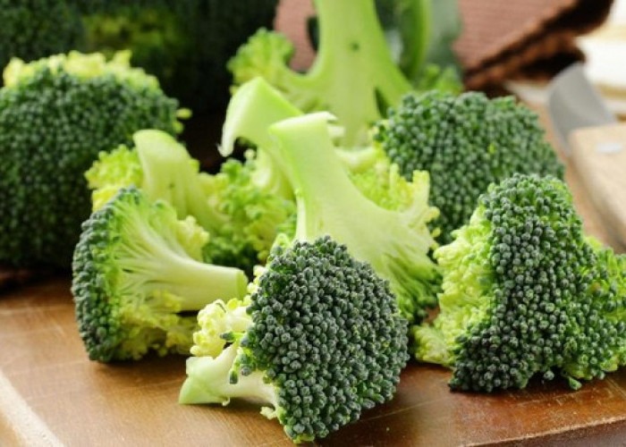 Simak Cara Menyimpan Brokoli Dalam Kulkas Dengan Tepat, Dijamin Awet Tidak Layu
