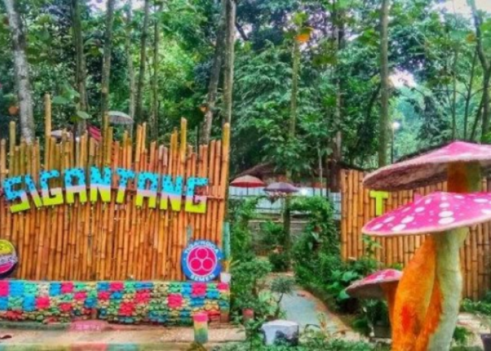 Destinasi Rekreasi yang Ramah Kantong Menampilkan Pesona Taman Wisata Sigantang