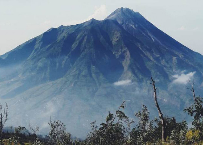 Hiking ke Wisata Terbaru 2024 Gunung Merbabu? Sajikan Pesona Alam Luar Biasa Estetik Dijamin Ketagihan