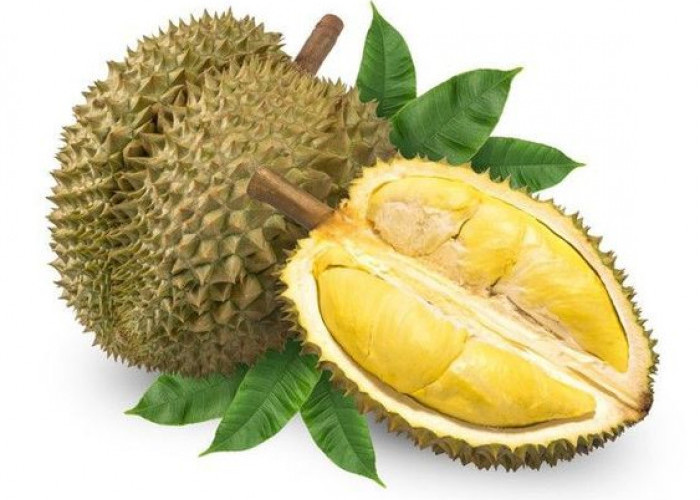 9 Dampak Konsumsi Durian Terlalu Banyak, Nomor 5 Kalian Wajib Tahu