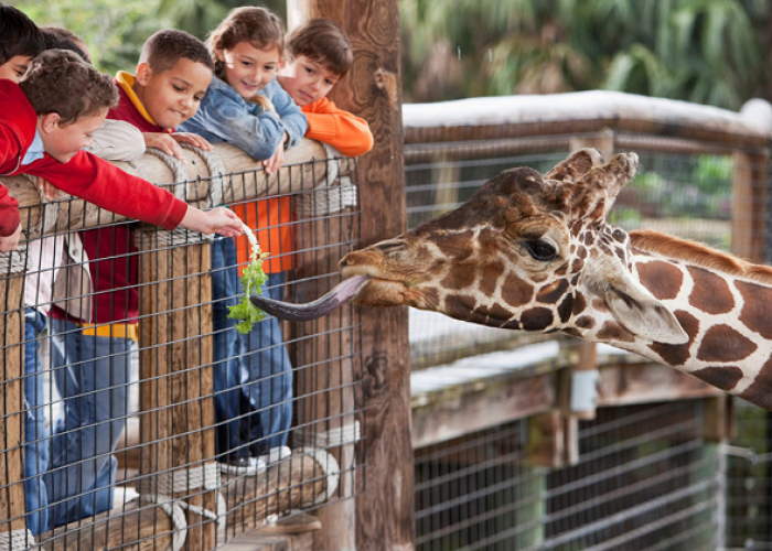 Destinasi Wisata Edukasi Populer di Bandung, Update Harga Tiket Bandung Zoological Garden