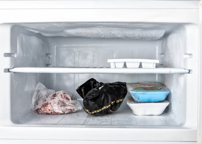 Begini Ternyata Penyebab Kabel Bawah Freezer Merek Kulkas Terbaik Lepas, Sebabkan Tidak beku