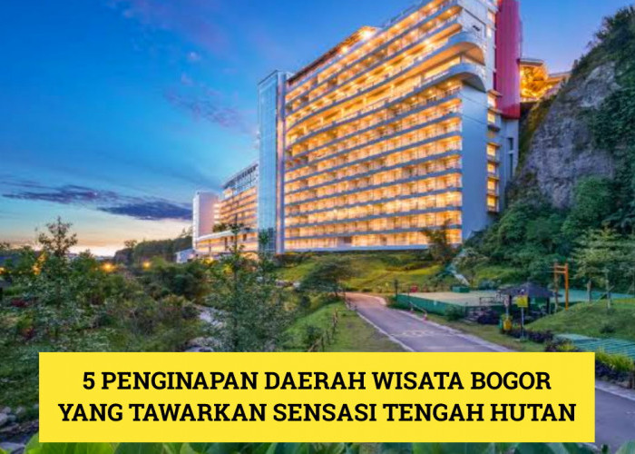5 Penginapan Murah!! Daerah Wisata Terbaru 2024 Bogor Tawarkan Sensasi Tidur di Tengah Hutan, Cobain Deh!!