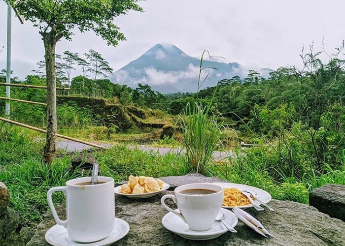 Kopi Merapi Jogja; Rekomendasi Ngopi Cantik dengan Suasana yang Syahdu di Kaki Gunung Merapi