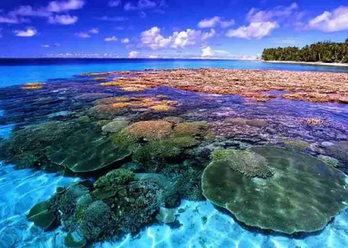 Pesona Destinasi Wisata Bahari Unggulan di Manado Paling Memukau, Simak Informasi Selengkapnya Disini