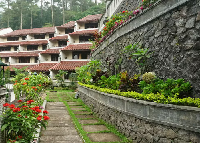 6 Daftar Destinasi Wisata Seru di Pasuruan, Tawarkan Pengalaman Berlibur Paling Menyenangkan