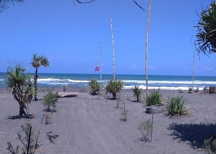Wisata Terbaru 2024 Pantai Pelangi Jogja: Pesona, Lokasi, Aktivitas Menarik dan Fasilitas