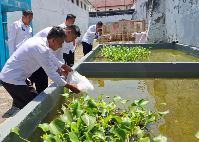 2000 Benih Ikan Nila Disebar, Wujudkan Ketahanan Pangan Warga Binaan Lapas Kelas IIB Brebes