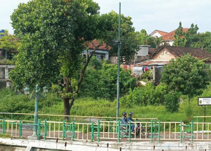 Upaya Lestarikan Tanaman Langka, Pemkot Yogyakarta Akan Bangun 4 Tambahan RTH Publik