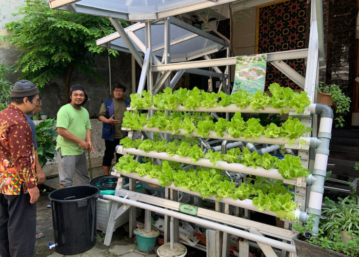 Marbot dan Remaja Masjid Dilatih Manfaatkan Air Wudhu Jadi Nutrisi Tanaman, Warga Bisa Terapkan di Rumah