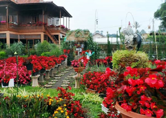 Rekomendasi Wisata Taman Bunga di Bandung, Super Cantik dan Instagramable Buat Liburan Cek Info Lengkapnya