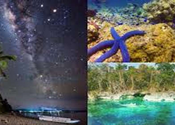 Ramai dan Menarik! Tempat Wisata Polewali Mandar 2025, Cocok Untuk Menemani Liburan Akhir Pekan