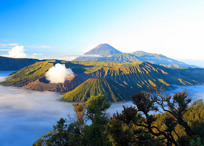 Keindahan Gunung Jawa Timur? Wisata Terbaru 2024, Mengintip Keindahan Langit dan Menyatu Dengan Alam
