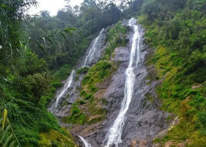 Deretan Air Terjun Indah di Wonosobo Paling Wajib Dikunjungi Para Pecinta Curug, Simak Disini