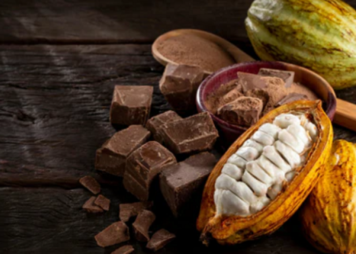 Intip Inovasi Cokelat Nusantara, Dengan Kolaborasi KAKAW Berikut Informasi Selengkapnya
