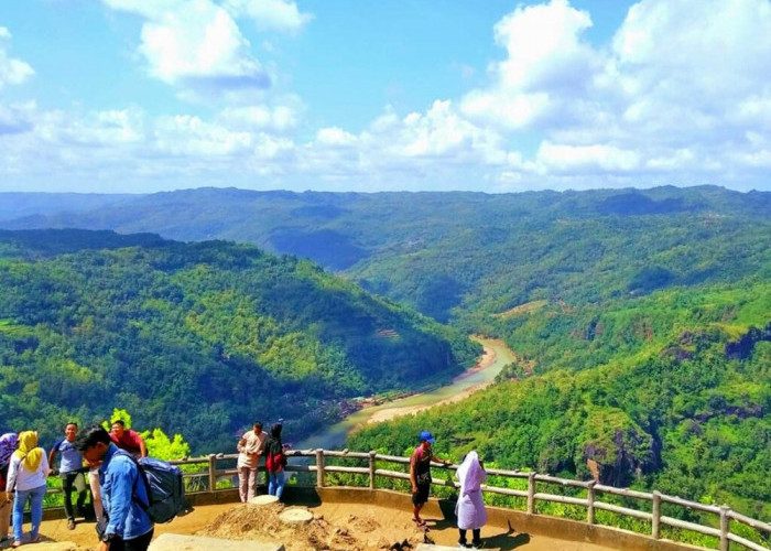 Wisata Terbaru 2024 Kebun Buah Mangunan Jogja? Sajikan Pesona Indah Di Atas Awan, Cek Lokasi dan HTM-nya