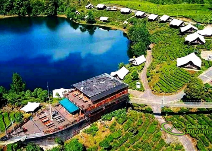 Liburan Akhir Tahun 2025, Yuk Eksplorasi Perkemahan Klasik dengan Daya Tarik Satwa