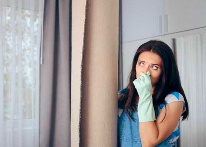 Ruangan Rumahmu Lembab dan Bau? Pakai 5 Cara Ampuh Ini Supaya Kembali Wangi!