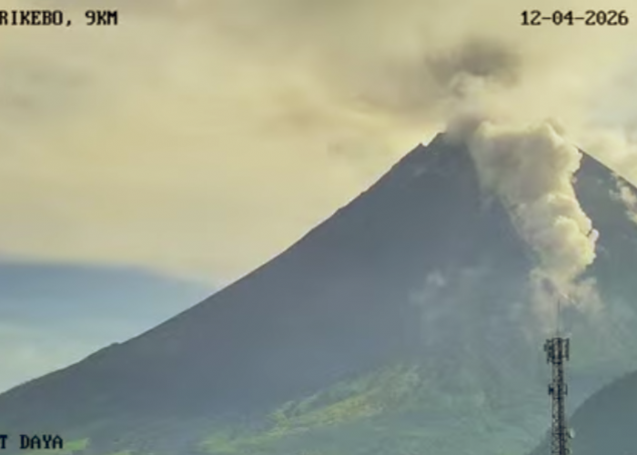 Aktivitas Gunung Merapi Meningkat, Awan Panas Guguran Terpantau Beruntun Empat Kali
