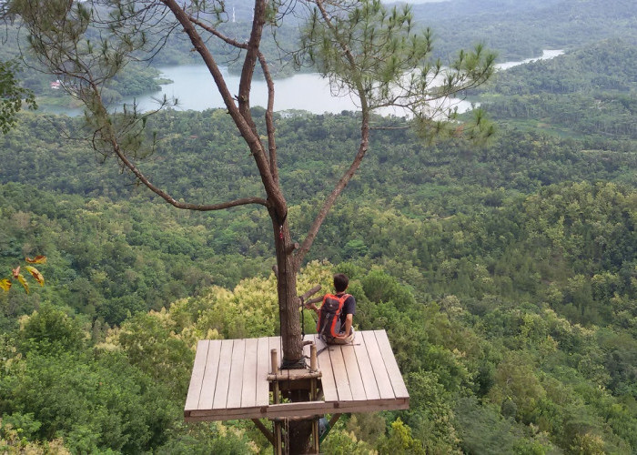 5 Pilihan Wisata Menarik Bukit Menoreh, Buat Momen Liburan Bersama Keluarga Lebih Berkesan