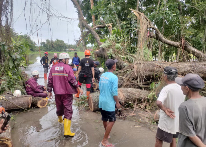 Jembatan Winongo Bantul Tergerus Sungai, BPBD Tutup Sementara dan Masyarakat Diminta Gunakan Jalur Alternatif