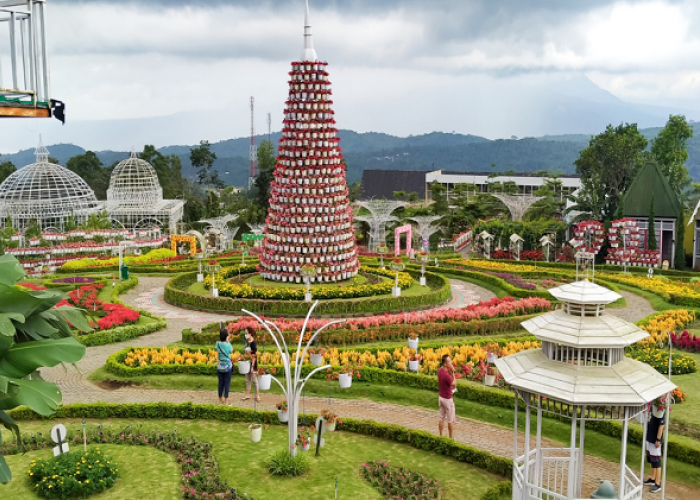 Liburan Hemat di Taman Bunga Celosia 2026, Ini Cara Dapat Diskon Tiket 