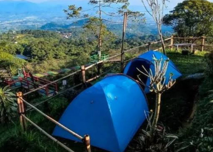 Wisata Terbaru 2024 Bukit Halimun Salak, Taman Cantik di Atas Gunung