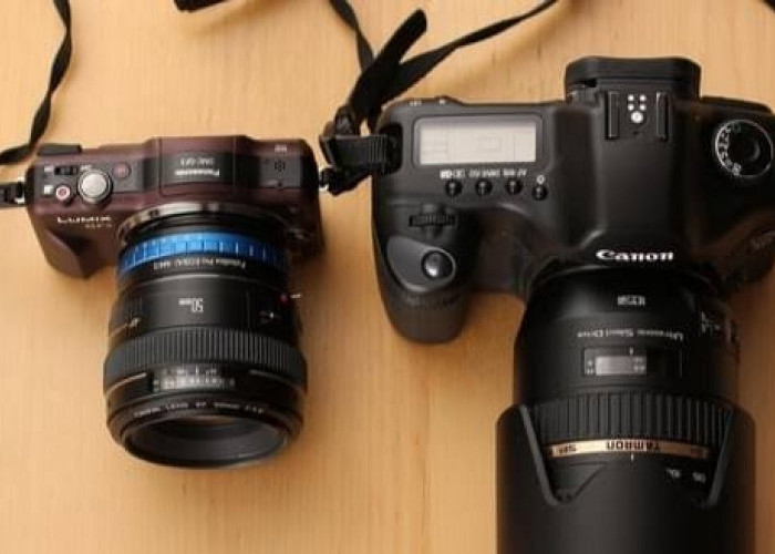 Yuk Simak Perbedaan yang Harus Kamu Tau jika Ingin Membeli kamera DSLR atau Mirrorless!