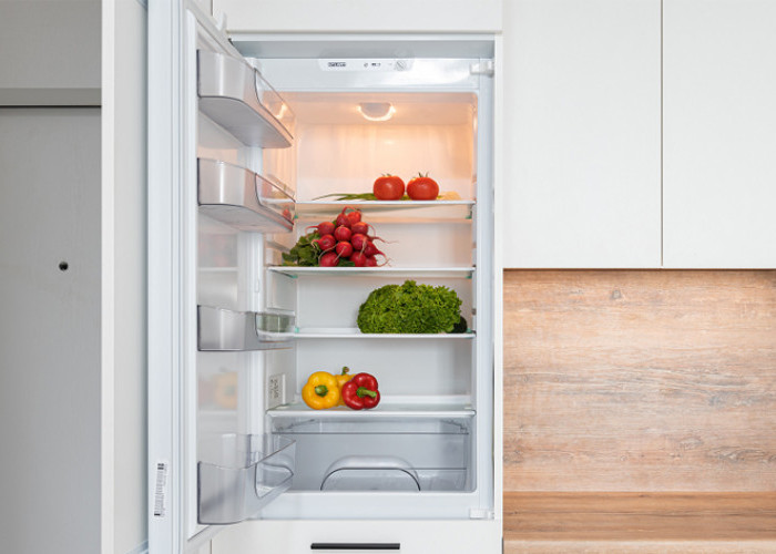 Jangan Salah Pilih, Berikut Penyebab Freezer Merek Kulkas Terbaik 1 Pintu Nggak Beku