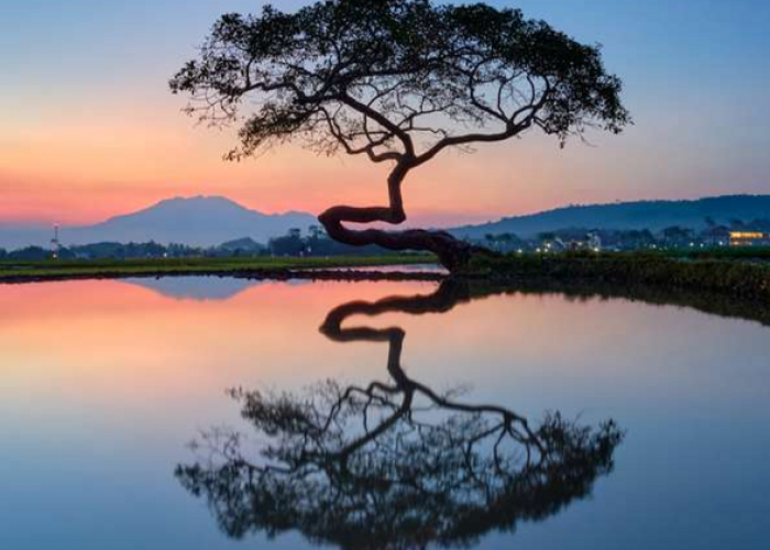 Instagramable Banget! Ini Tempat Wisata Salatiga yang Lagi Hits Destinasi Favorit 2026