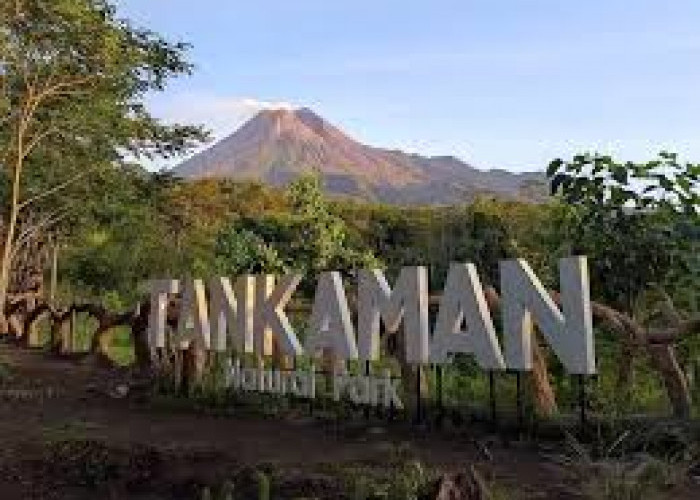 Tempat Liburan Awal Tahun Tankaman Natural Park Kaliurang, Tempat Hiking dan Camping di Kaki Gunung Merapi