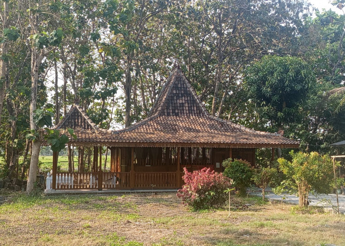 Jejak Leluhur Dinasti Mataram di Gamping, Petilasan Raden Bondan Kejawan Diantara Rimbunan Pohon Jati